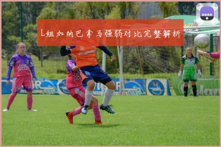 L组加纳巴拿马强弱对比完整解析