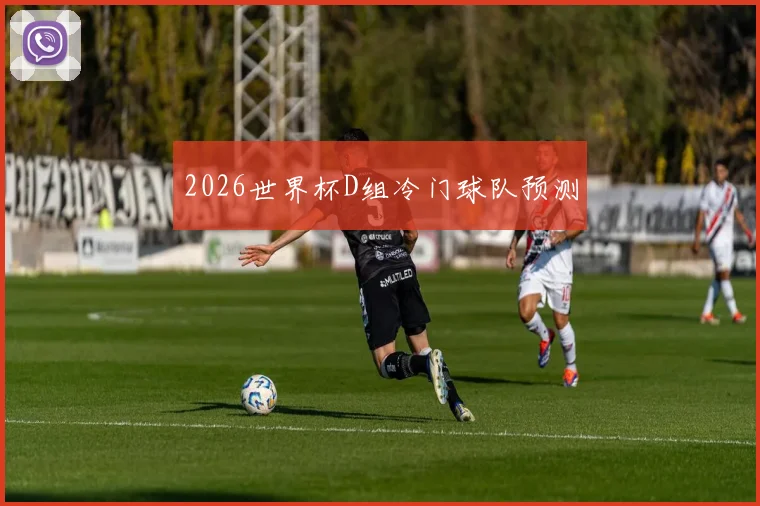 2026世界杯D组冷门球队预测