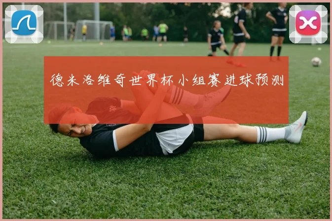 德米洛维奇世界杯小组赛进球预测