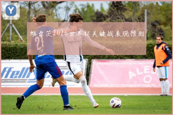 维尔茨2026世界杯关键战表现预测