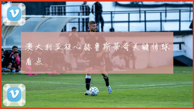 澳大利亚核心赫鲁斯蒂奇关键传球看点