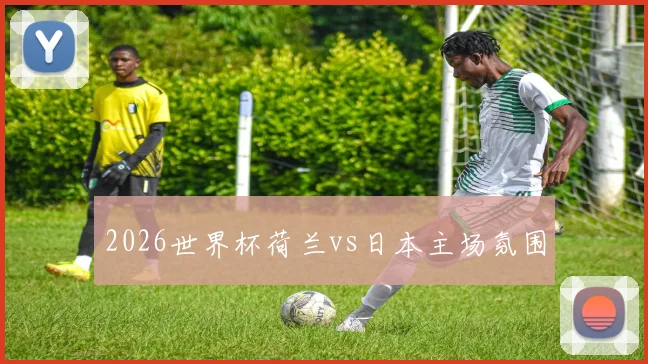 2026世界杯荷兰vs日本主场氛围