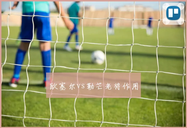 欧塞尔vs勒芒老将作用