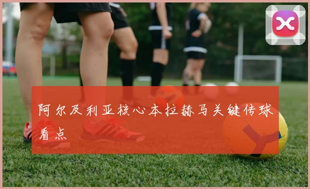 阿尔及利亚核心本拉赫马关键传球看点