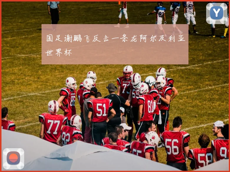 国足谢鹏飞反击一条龙阿尔及利亚世界杯